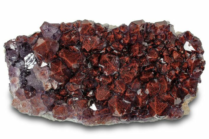 Thunder Bay Amethyst Cluster with Hematite - Top Quality! #314903